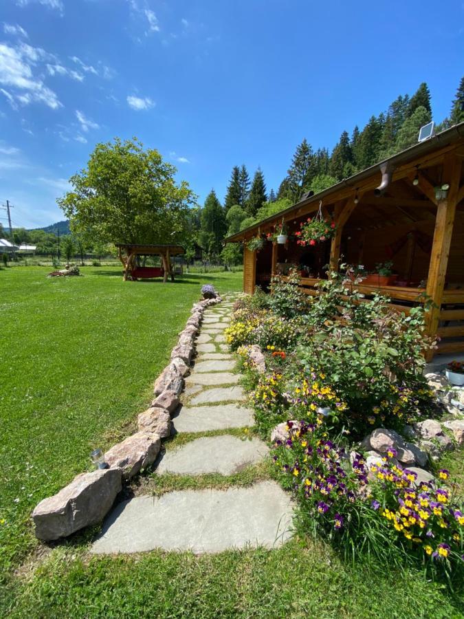 Pensiunea Casa Pancu Чахлэу Экстерьер фото