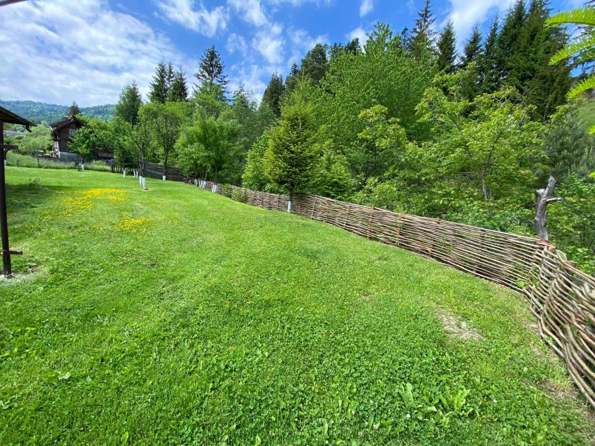 Pensiunea Casa Pancu Чахлэу Экстерьер фото