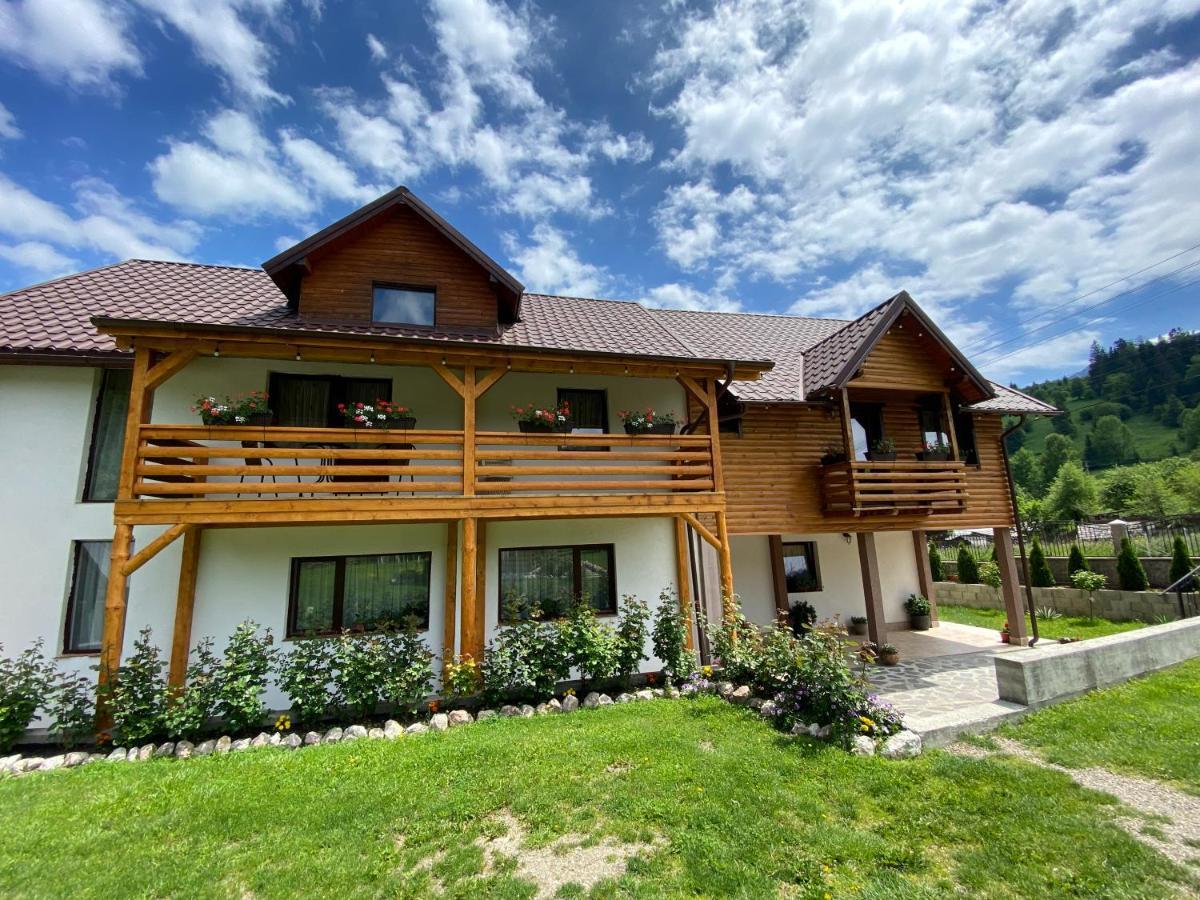 Pensiunea Casa Pancu Чахлэу Экстерьер фото
