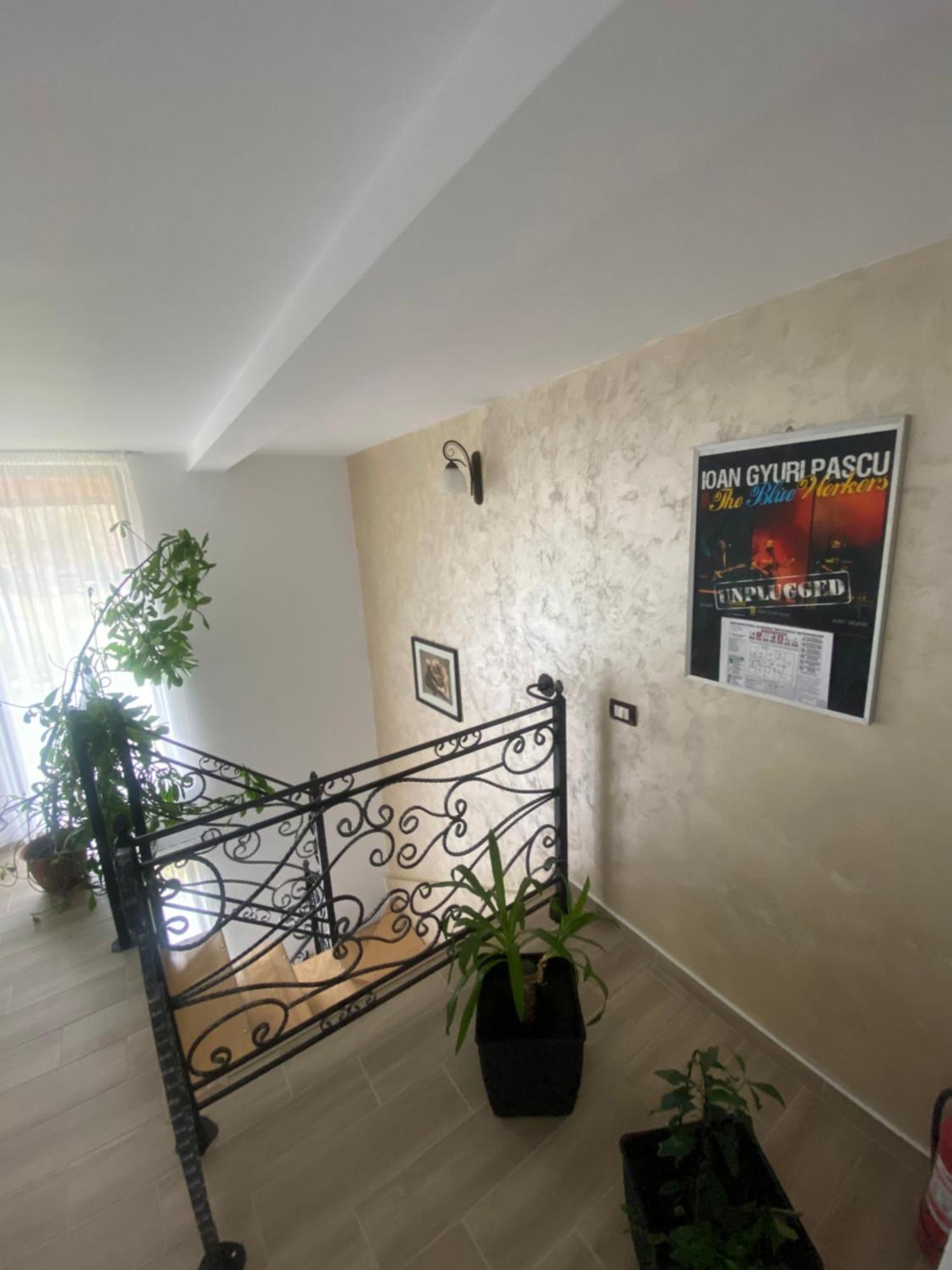 Pensiunea Casa Pancu Чахлэу Экстерьер фото
